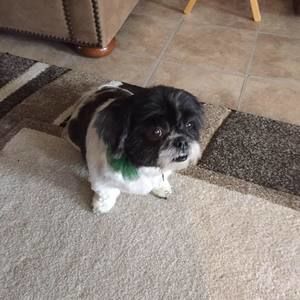 Meet your Posher, Kaye